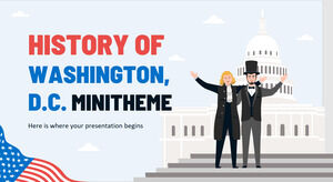 Istoria Washingtonului, DC Minitemă