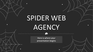 Agence Web d'araignée