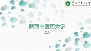 Shaanxi Universität für Traditionelle Chinesische Medizin