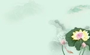 Yeşil ışık zarif lotus Çin tarzı PPT arka plan