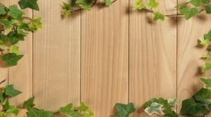 Hijau Natural Wooden Board Vines Gambar Latar PPT