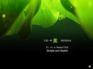Schönes grünes Natur PPT-Hintergrundbild
