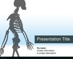 解剖的PowerPoint模板