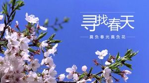 Buscando la plantilla ppt de perfil de la Universidad Agrícola de Huazhong de primavera