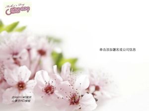 Персиковый розовый минималистичный день благодарения матери ppt шаблон