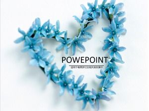 قالب PPT زهرة إكليل الزهور الزرقاء الصغيرة