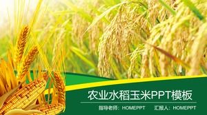 Landwirtschaftliche PPT-Schablone des Reisweizenmaishintergrunds