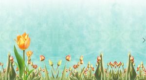 Świeży tulipanowy PPT tło obrazek
