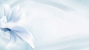 Gambar latar belakang PPT bunga biru elegan