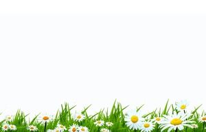 Frisches Blumen-PPT-Hintergrundbild