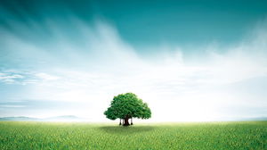 Schönes Grasgrünbaum-PPT-Hintergrundbild