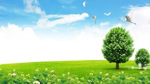 Four PPT background pictures of blue sky and white cloud grass green trees