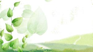Yeşil güzel yaprak slayt arka plan resmi