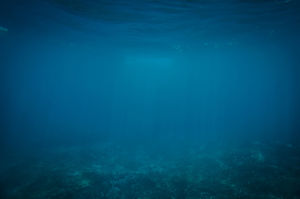 藍色水下世界的簡單PPT背景圖片