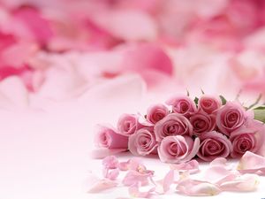 粉色浪漫玫瑰花朵PPT背景图片