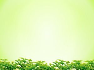 Elegant green background leaves green leaf slide background pictures download