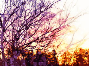 Beautiful tree art slideshow background picture