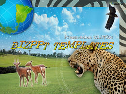 동물의 세계 PPT 템플릿