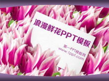 Fundo de tulipa romântico de amor Modelos de PowerPoint