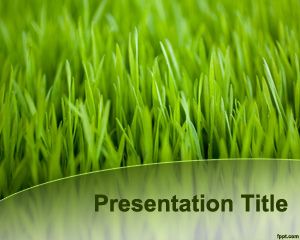 Plantilla verde de hierba para PowerPoint