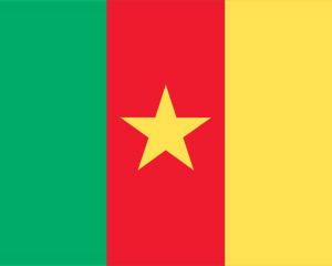 喀麥隆的PowerPoint國旗