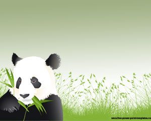 熊猫Powerpoint模板