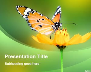 Blumen-Schmetterlings-Powerpoint-Vorlage