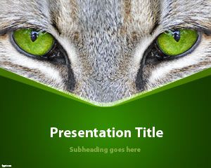 Template Cat Eyes PowerPoint