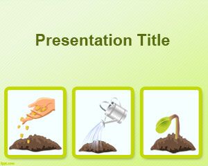 种子发芽过程中的PowerPoint模板