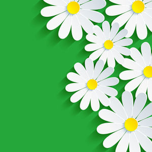 yeşil mikro boyutlu çiçek yaprak modeli PPT arka plan resmi kümesi