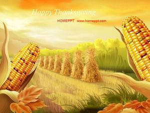 Autumn maize harvest slideshow download