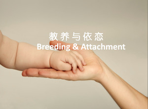 Baby's upbringing and attachment to PowerPoint slideshow