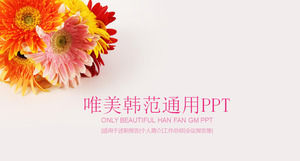 美しい菊の背景PPTのテンプレートを無料でダウンロード