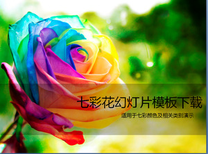 Belles roses colorées modèle PPT télécharger