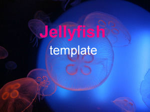 Blue jellyfish - Animal PPT template