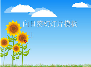 藍色的天空和向日葵背景卡通幻燈片模板下載下白雲