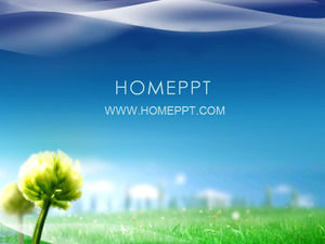 Blue sky green grass plant PPT template download