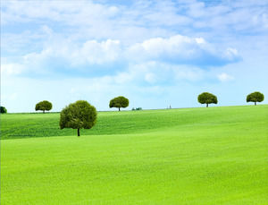 Blue sky white grass grass PPT background picture