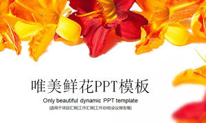 明亮的花卉背景美麗的PPT模板免費下載
