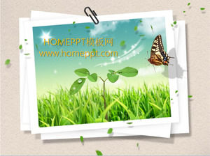 Бабочка Зеленая трава фона слайда шаблона