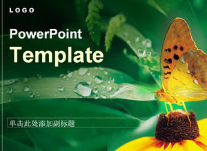 Butterfly leaf dew natural template