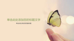Immagine di sfondo a farfalla PPT su punta delle dita
