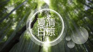 Cool summer bamboo bamboo forest PPT template