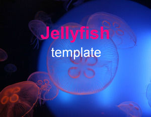 Modelli di PowerPoint Deep blue jellyfish-animale