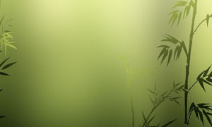 Głęboko w bambusowych liściach lasu spada dynamiczny efekt