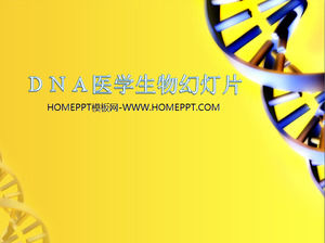 DNA 사슬 배경 의학 의료 생물학 과학 슬라이드 템플릿 다운로드