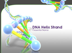 DNA螺旋鏈演示