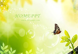 Elegant and beautiful butterfly PPT template download