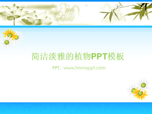 Elegant plante de fundal crizantema șablon PPT descărcare