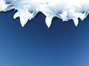 Elegant Lily PPT Background Picture